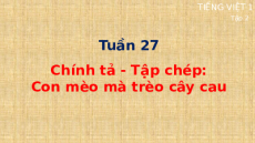 Giáo án Powerpoint Chính tả: Con mèo mà trèo cây cau Tiếng việt lớp 1 Cánh diều