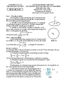 Đề thi HSG Vật Lí 11 Trường THPT Chuyên Lào Cai