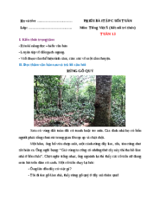 Bài tập cuối tuần Tiếng Việt lớp 5 Kết nối tri thức Tuần 13