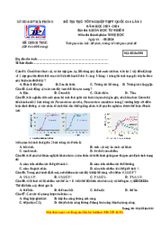 Đề thi thử tốt nghiệp Sinh học Sở Hải Phòng năm 2024