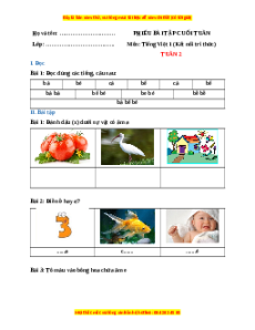 Bài tập cuối tuần Tiếng việt lớp 1 Tuần 2 Kết nối tri thức (có lời giải)