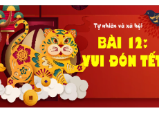 Giáo án Powerpoint Bài 12: Vui đón Tết Tự nhiên xã hội lớp 1 Kết nối tri thức