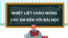 Giáo án Powerpoint Ôn tập chương 4 Sinh học 10 Chân trời sáng tạo