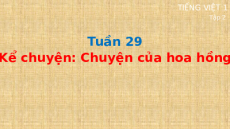 Giáo án Powerpoint Kể chuyện: Chuyện của hoa hồng Tiếng việt lớp 1 Cánh diều