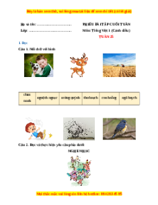Bài tập cuối tuần Tiếng việt lớp 1 Tuần 25 Cánh diều (có lời giải)