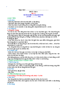 Giáo án Bài 12 Địa lí 10 Kết nối tri thức: Nước biển và đại dương