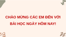 Giáo án Powerpoint Tuần 28 HĐTN lớp 4 Kết nối tri thức