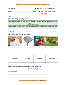 Bài tập cuối tuần Tiếng việt lớp 1 Tuần 10 Kết nối tri thức (có lời giải)