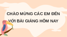 Giáo án Powerpoint Quần thể sinh vật Sinh học - KHTN 8 Cánh diều