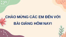 Giáo án Powerpoint Khái quát về trao đổi chất và chuyển hóa năng lượng Sinh học 11 Cánh diều