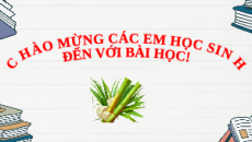 Giáo án Powerpoint Sacchaose và maltose Hóa học 12 Kết nối tri thức