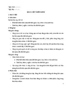 Giáo án Bài 41 KHTN 9 Kết nối tri thức (2024): Đột biến gene