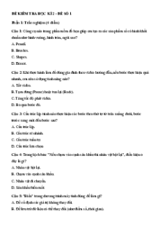 Bộ 6 đề thi Cuối kì 2 Tin học lớp 5 Kết nối tri thức có đáp án
