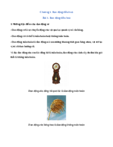 Lý thuyết Vật lí 11 Kết nối tri thức (cả năm)