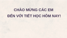Giáo án Powerpoint Bài 26: Công cụ chỉnh màu sắc và công cụ chọn Tin 11 Kết nối tri thức