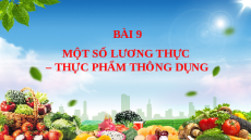 Giáo án Powerpoint Bài 9: Một số lương thực - thực phẩm thông dụng KHTN 6 Cánh diều