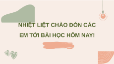 Giáo án Powerpoint Ôn tập Chương 3 Sinh học 11 Chân trời sáng tạo