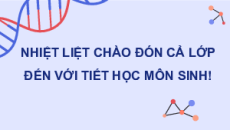 Giáo án Powerpoint Bài 8: Các quy luật di truyền của Morgan và di truyền giới tính Sinh học 12 Chân trời sáng tạo
