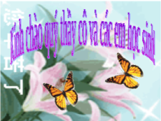 Bài giảng Powerpoint Thực hành: Quan sát, mô tả sự sinh trưởng và phát triển ở một số sinh vật Sinh học - KHTN 7 Kết nối tri thức