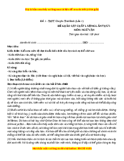 Đề thi thử Ngữ Văn trường Chuyên Thái Bình lần 1 năm 202
