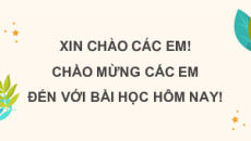 Giáo án Powerpoint Bài 5: Điều ước của vua Mi-đát Tiếng việt lớp 4 Chân trời sáng tạo (Phiên bản 2)