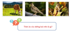 Giáo án Powerpoint Trao đổi nước và các chất dinh dưỡng ở động vật Sinh học - KHTN 7 Cánh diều