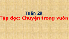 Giáo án Powerpoint Tập đọc: Chuyện trong vườn Tiếng việt lớp 1 Cánh diều