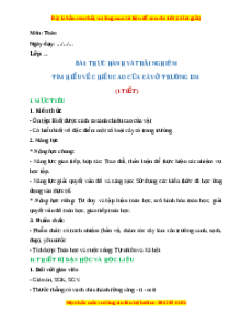 Giáo án Thực hành và trải nghiệm tìm hiểu về chiều cao của cây ở trường em Toán 2 Chân trời sáng tạo