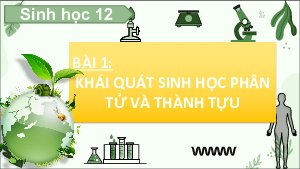 Bài giảng Powerpoint Chuyên đề Sinh học 12 Chân trời sáng tạo