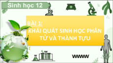 Bài giảng Powerpoint Chuyên đề Sinh học 12 Chân trời sáng tạo