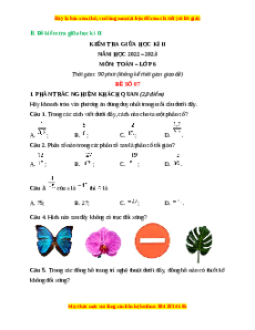 Đề thi giữa kì 2 Toán 6 Chân trời sáng tạo (Đề 7)