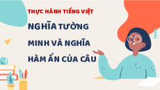 Giáo án Powerpoint Thực hành tiếng Việt trang 113 Ngữ văn 8 Kết nối tri thức