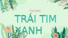 Giáo án Powerpoint Bài 2: Trái tim xanh Tiếng việt lớp 3 Chân trời sáng tạo