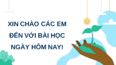 Giáo án Powerpoint Bài 21 Địa lí 9 Kết nối tri thức: Thực hành