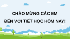Giáo án Powerpoint Bài 30 Địa lí 12 Kết nối tri thức: Sử dụng hợp lí tự nhiên để phát triển kinh tế ở Đồng bằng sông Cửu Long