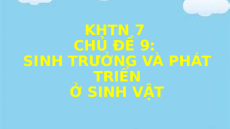 Giáo án Powerpoint Sinh trưởng và phát triển ở sinh vật Sinh học - KHTN 7 Chân trời sáng tạo