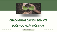 Giáo án Powerpoint Bài 11: Giới thiệu về VietGAP trồng trọt Chuyên đề Công nghệ trồng trọt 10 Kết nối tri thức