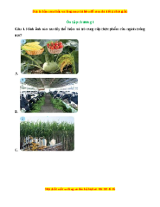 Trắc nghiệm Công nghệ 7 Ôn tập chương 1 Kết nối tri thức