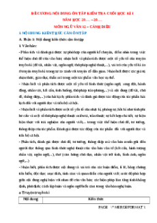 Đề cương ôn tập Cuối kì 1 Ngữ văn 12 Cánh diều