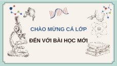 Giáo án Powerpoint Bài 39: Di truyền liên kết và cơ chế xác định giới tính KHTN 9 Cánh diều