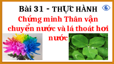 Giáo án Powerpoint Thực hành chứng minh thân vận chuyển nước và lá thoát hơi nước Sinh học - KHTN 7 Chân trời sáng tạo