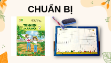 Giáo án Powerpoint Bài 19 Tự nhiên xã hội lớp 2 Kết nối tri thức: Thực vật và động vật quanh em