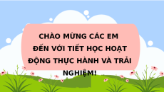 Giáo án Powerpoint Hoạt động 1: Làm giác kế đo góc nâng đơn giản Toán 9 Chân trời sáng tạo