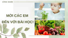 Giáo án Powerpoint Bài 14: Thực hành Đo dư lượng nitrate trong rau, củ, quả Chuyên đề Công nghệ trồng trọt 10 Kết nối tri thức