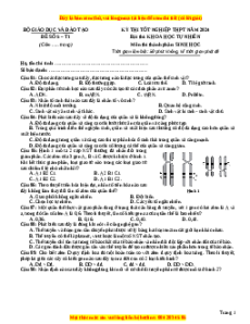 Đề Tốt nghiệp Sinh học 2024 theo đề tham khảo (Đề 5)