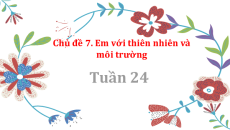 Bài giảng Powerpoint Chủ đề 7: Em với thiên nhiên và môi trường