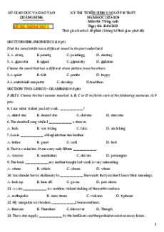 Đề thi vào 10 Tiếng Anh Tỉnh Quảng Nam năm 2023-2024