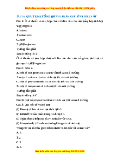 Trắc nghiệm Sinh học 10 Bài 24 Chân trời sáng tạo: Quá trình tổng hợp và phân giải ở vi sinh vật