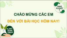 Giáo án Powerpoint Bài 13: Quyền và nghĩa vụ của công dân trong bảo vệ di sản văn hoá, môi trường và tài nguyên thiên nhiên KTPL 12 Chân trời sáng tạo