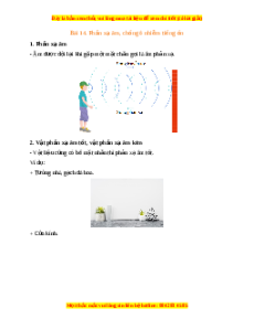 Lý thuyết KHTN 7 Kết nối tri thức Bài 14: Phản xạ âm, chống ô nhiễm tiếng ồn
